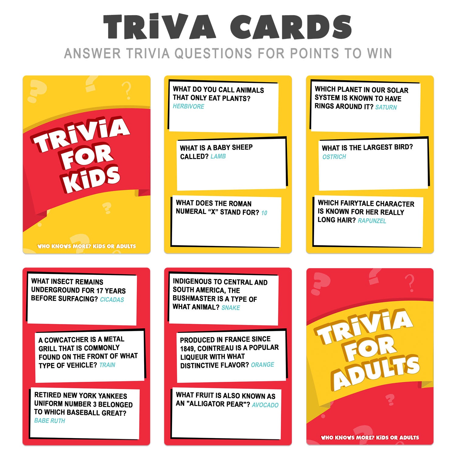 Trivia Questions Cards